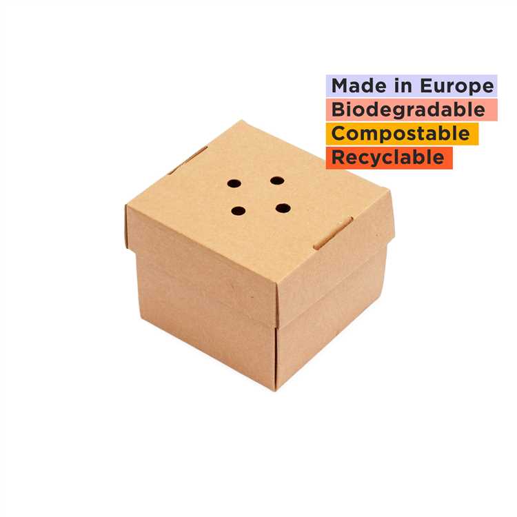 Innovations in Burger Box Recycling