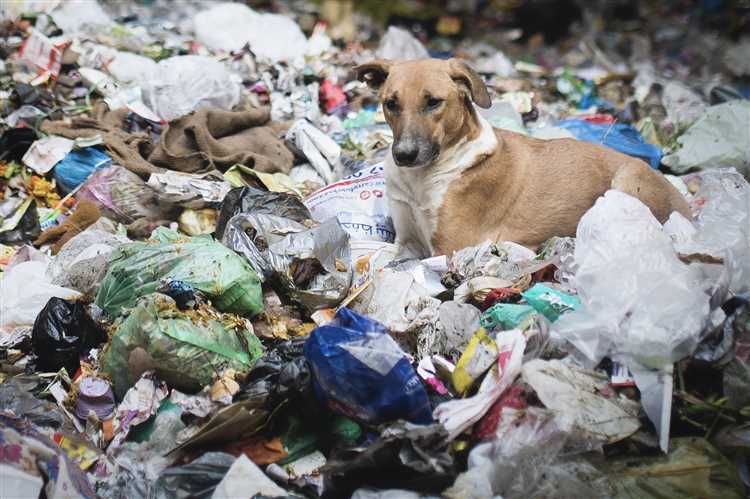 Are they banning plastic garbage bags?