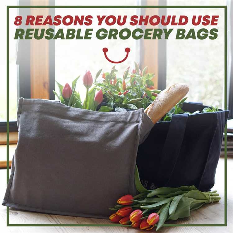 Benefits of using reusable grocery bags for food contact