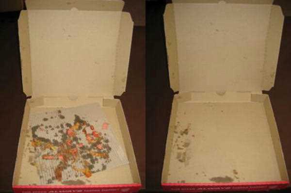 Common misconceptions about pizza box recycling