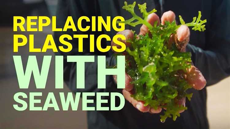 Seaweed-Based Packaging Solutions