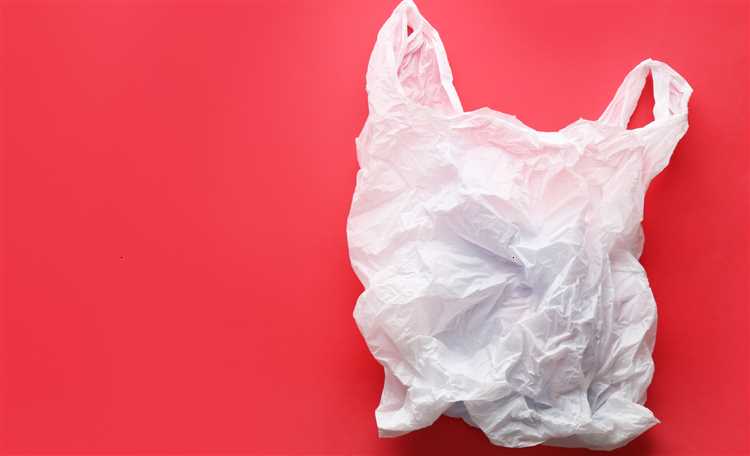 Can we survive without plastic bags?