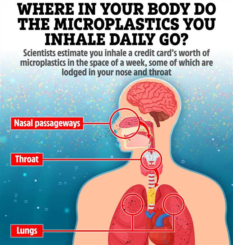 The potential respiratory effects of inhaling microplastics