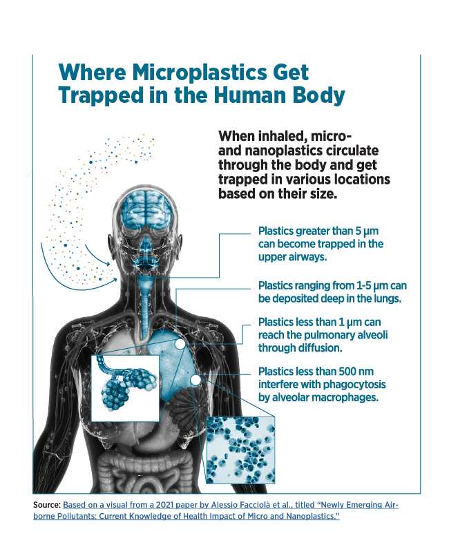 How can we reduce our exposure to microplastics in the air?