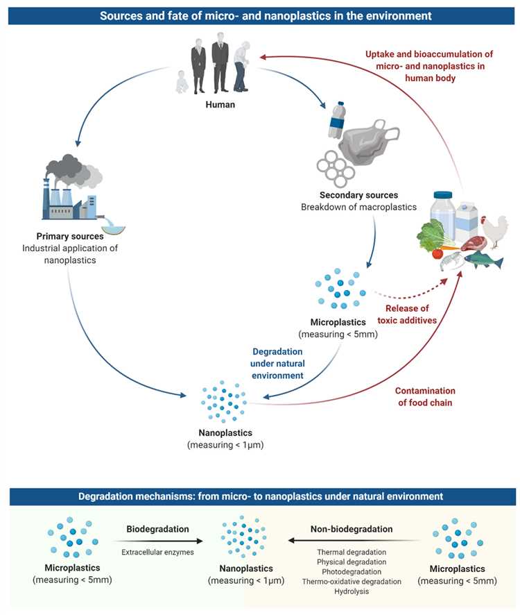 Can your skin absorb microplastics?