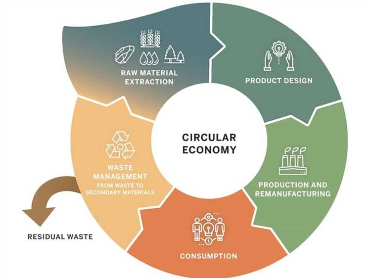 Circular Economy Action Plan: Key Steps for a Sustainable Future