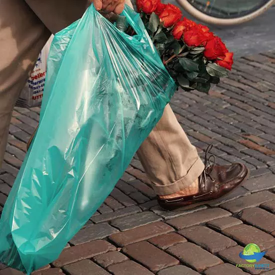 Did China ban plastic bags?