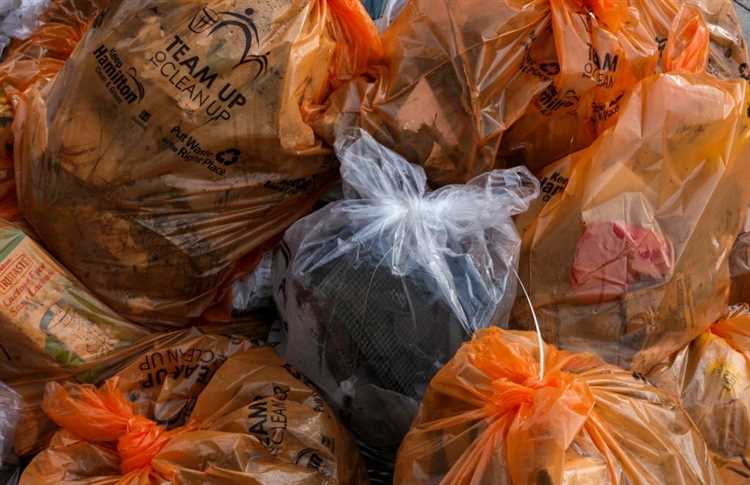 Did Germany ban plastic bags?