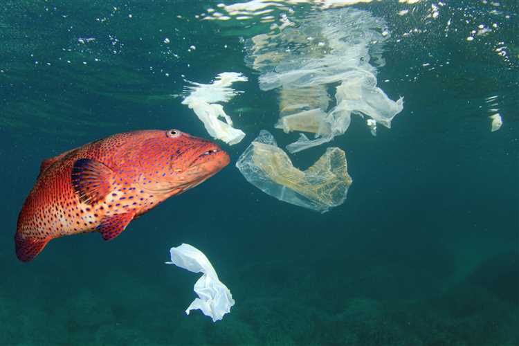 How Plastic Gets Into the Ocean