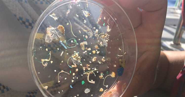 The potential health effects of ingesting microplastics