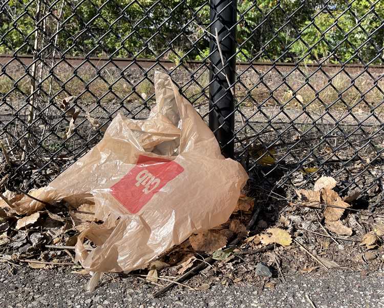 Do you have to pay for bags in Minnesota?