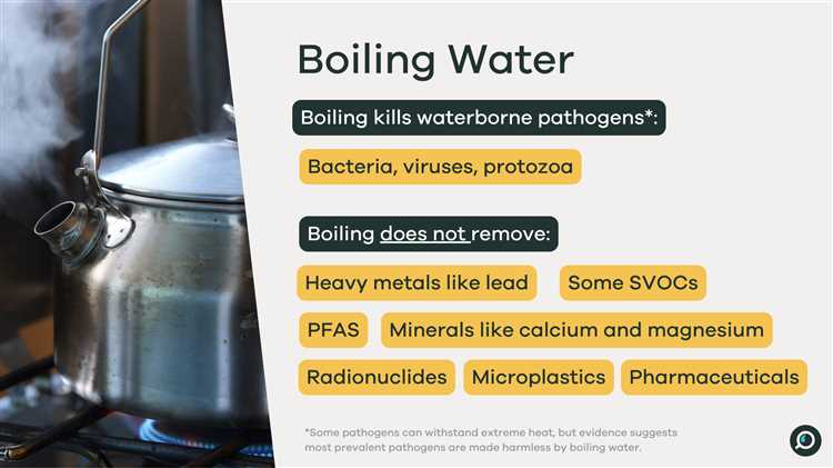 Reducing Microplastic Pollution: Boiling Water as an Effective Solution