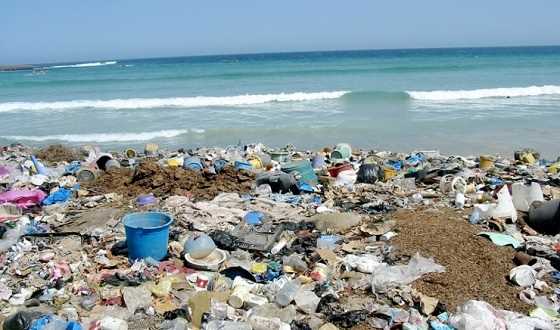 Marine Debris and Plastic Pollution