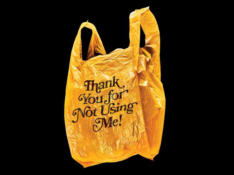 Does Florida have a plastic bag ban?