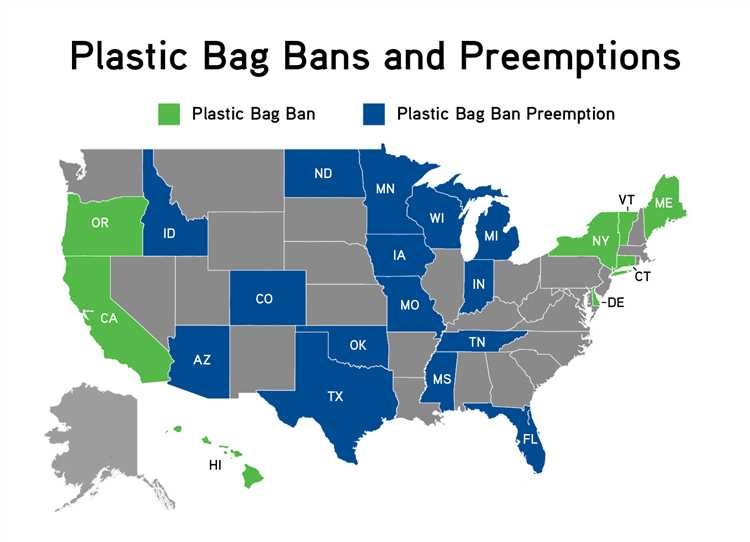 What are the Reactions and Impact of the NYC Plastic Bag Policy?