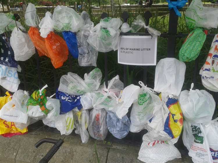 Effects of plastic bag usage on the environment