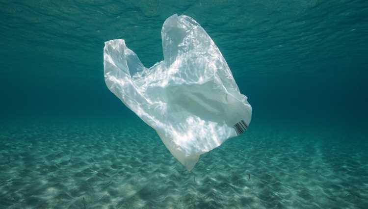 Does plastic take 1000 years to decompose?