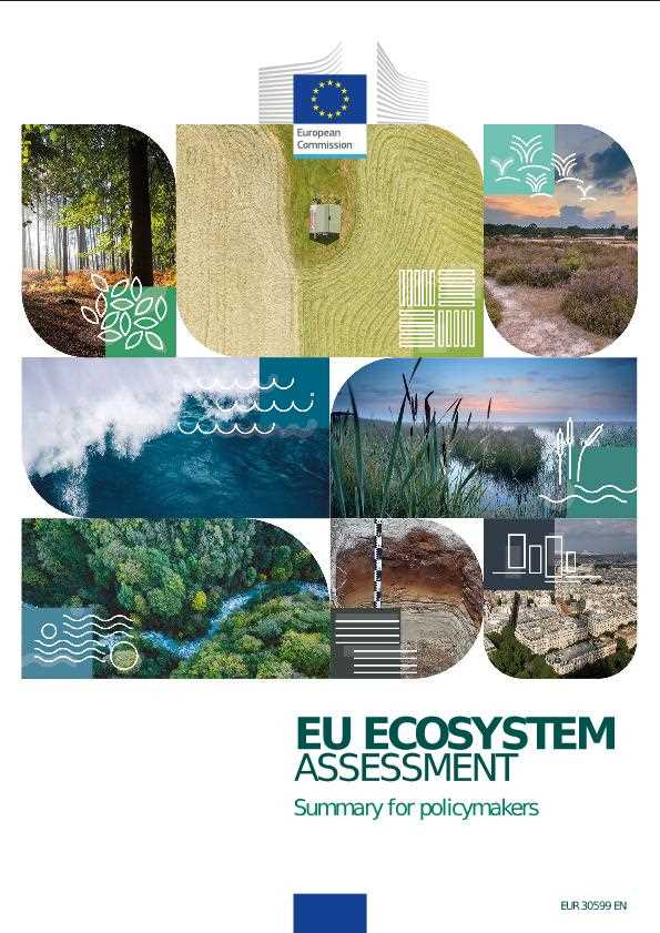 Europe's Commitment to Environmental Protection