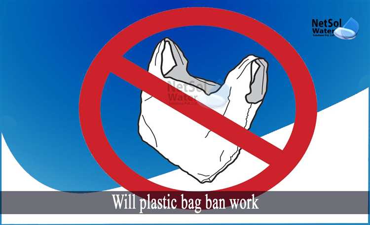 Have plastic bag bans worked?