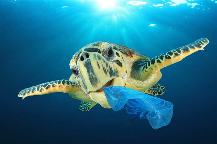 The Harmful Impact of Plastic Bags on Earth