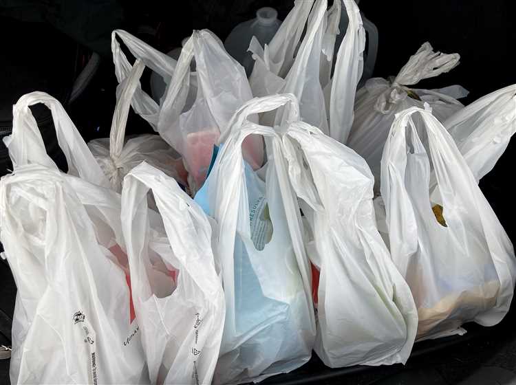 The Importance of Individual Actions in Reducing Plastic Bag Usage