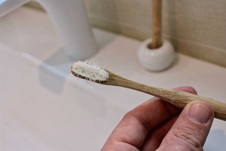 Alternatives to Plastic Toothbrushes