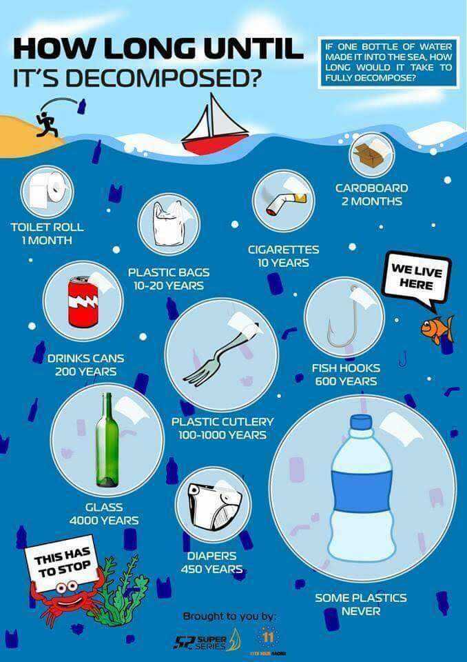 Factors Affecting the Breakdown of Plastic