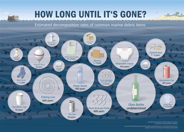 The Impact on Ecosystems