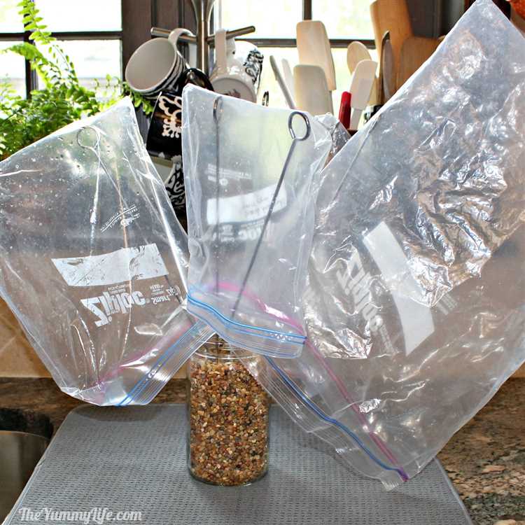 Challenges to Reusing Plastic Bags