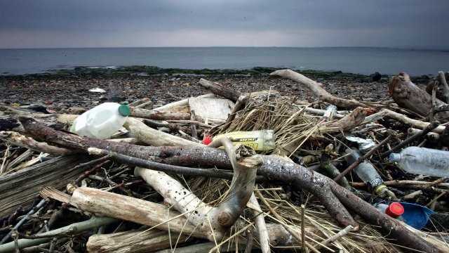 Efforts to reduce plastic bag consumption