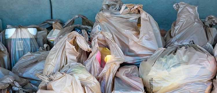 Potential Impacts of a Plastic Bag Ban