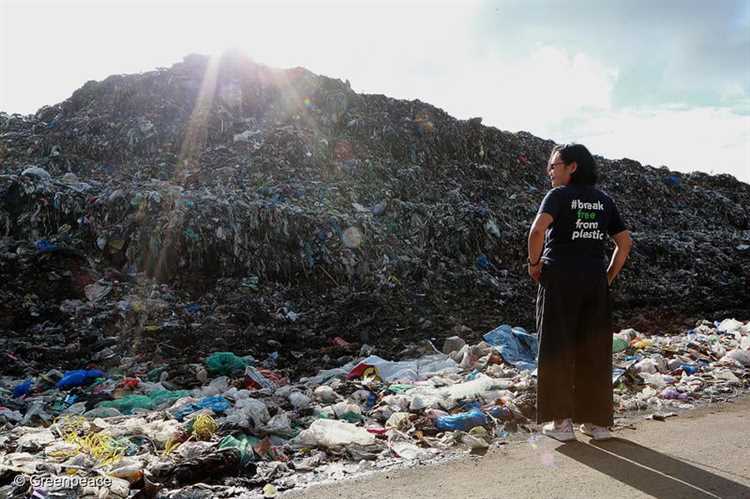 Current State of Plastic Waste in the US