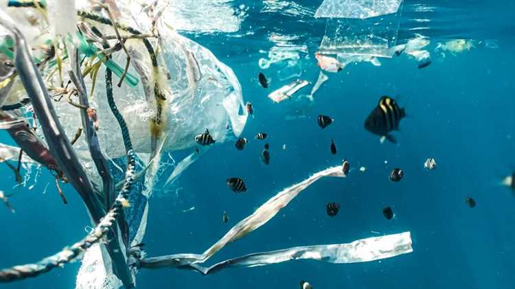 The Importance of Reducing Plastic Consumption