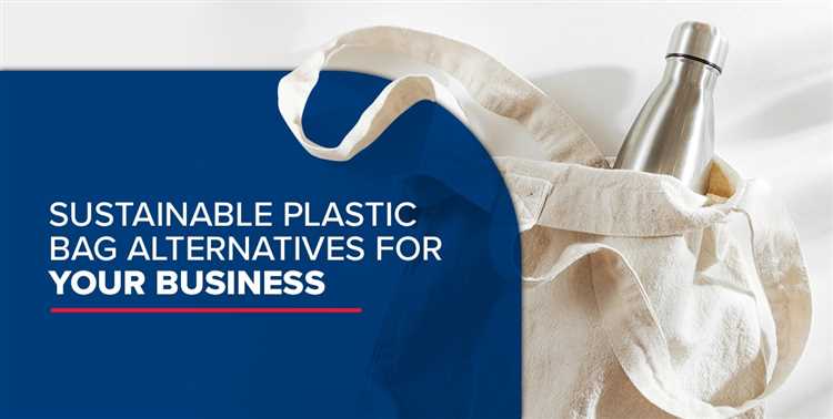 Exploring Alternatives to Plastic Bags