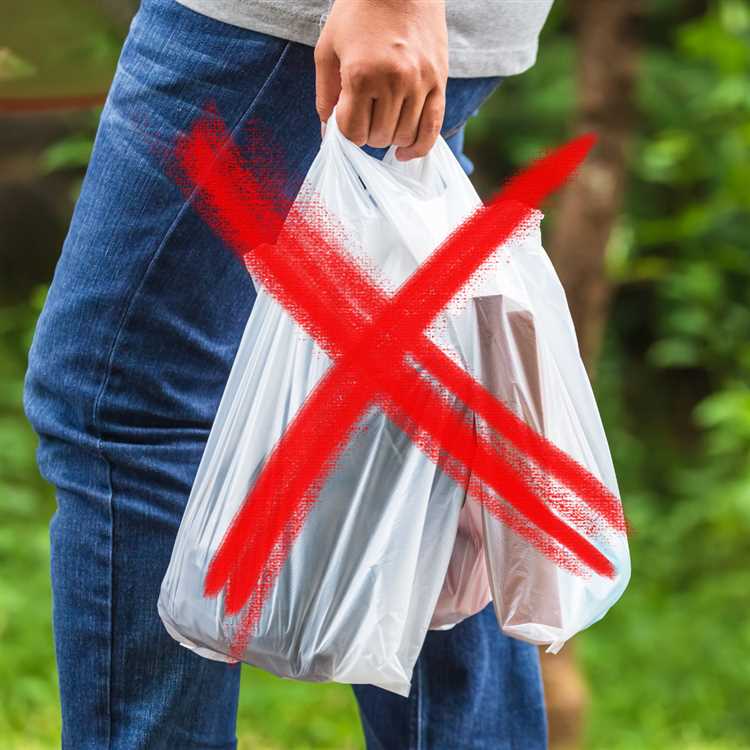 Plastic bag ban and grassroots activism