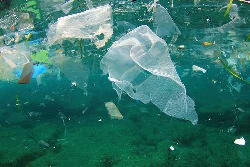 1. Plastic bags pollute our oceans