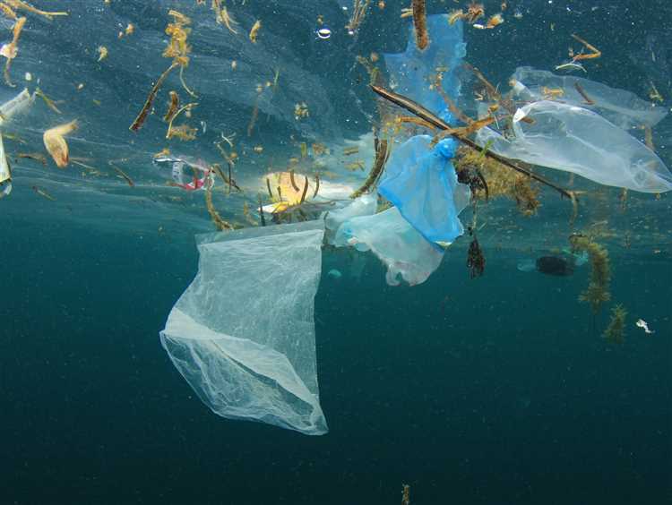 The Need for a Plastic Bag Ban: Addressing the Pollution Crisis