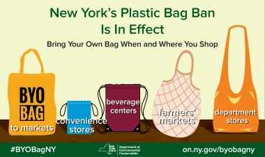 Positive Effects of Plastic Bag Bans