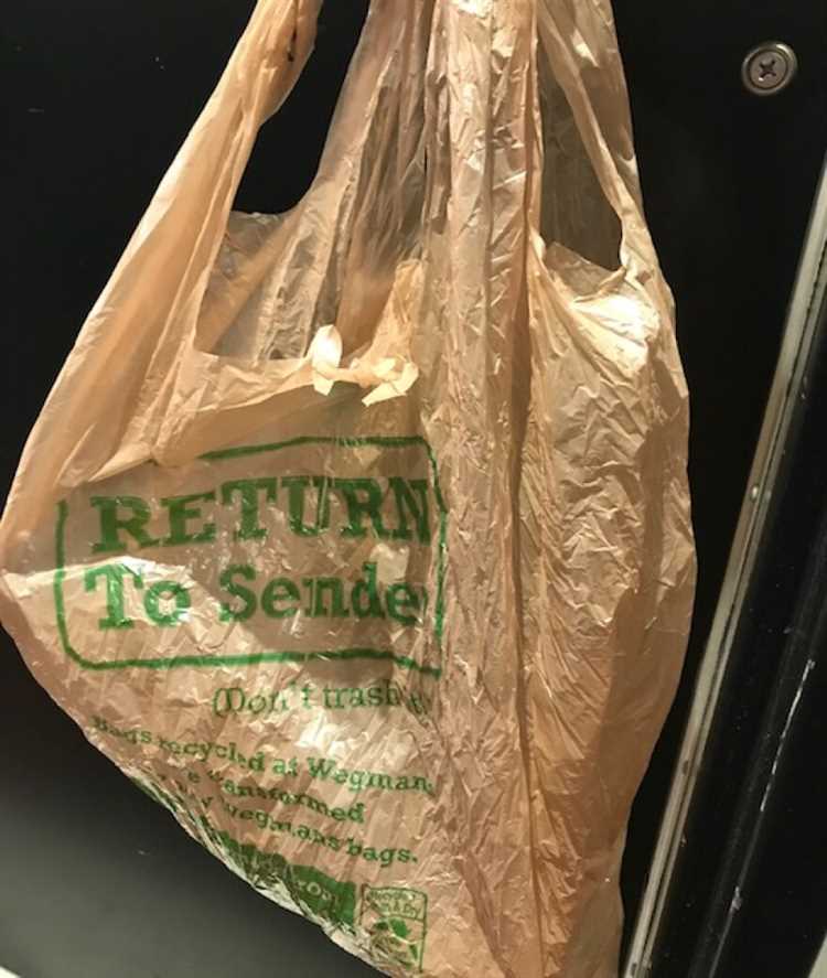 Why Plastic Bag Bans Are Necessary