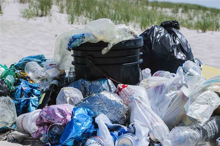 The Environmental Impact of Failing to Recycle Plastic