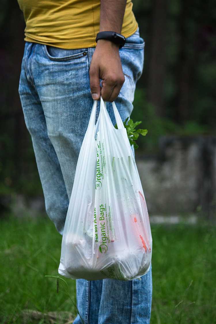 Overview of Delaware's Plastic Bag Ban