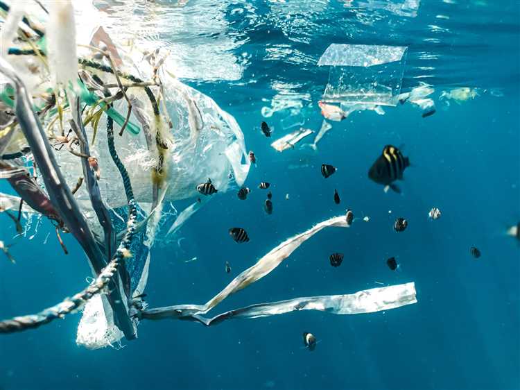 What is the most damaging plastic?