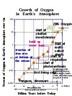 What produces 80% of Earth's oxygen?