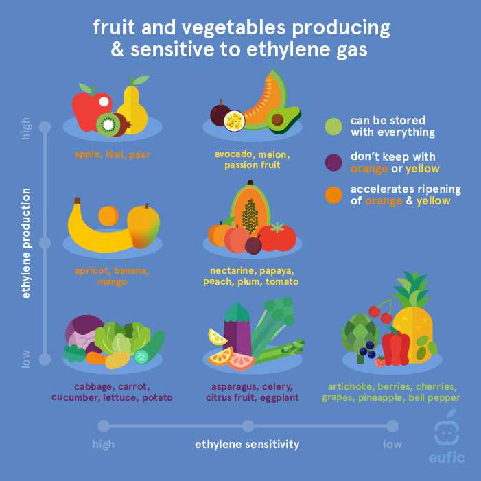 What vegetables are not refrigerated?