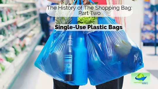 What was used before plastic bags?