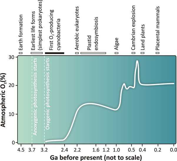 Oxygen Production