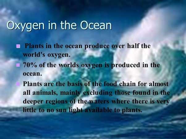 Where does 70% of Earth's oxygen come from?