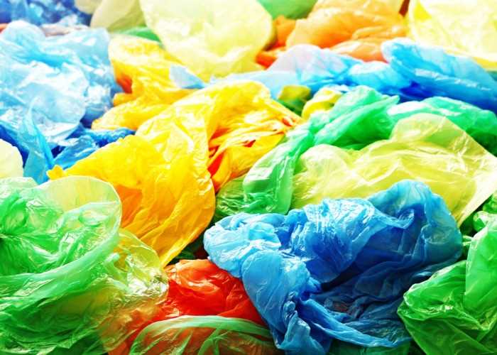 Where does the money go for plastic bags?