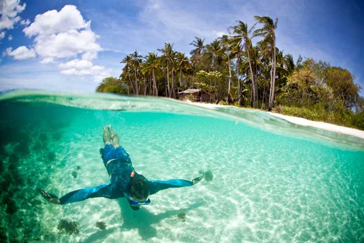 Immersing Yourself in the Pristine Oceans of The Galapagos Islands