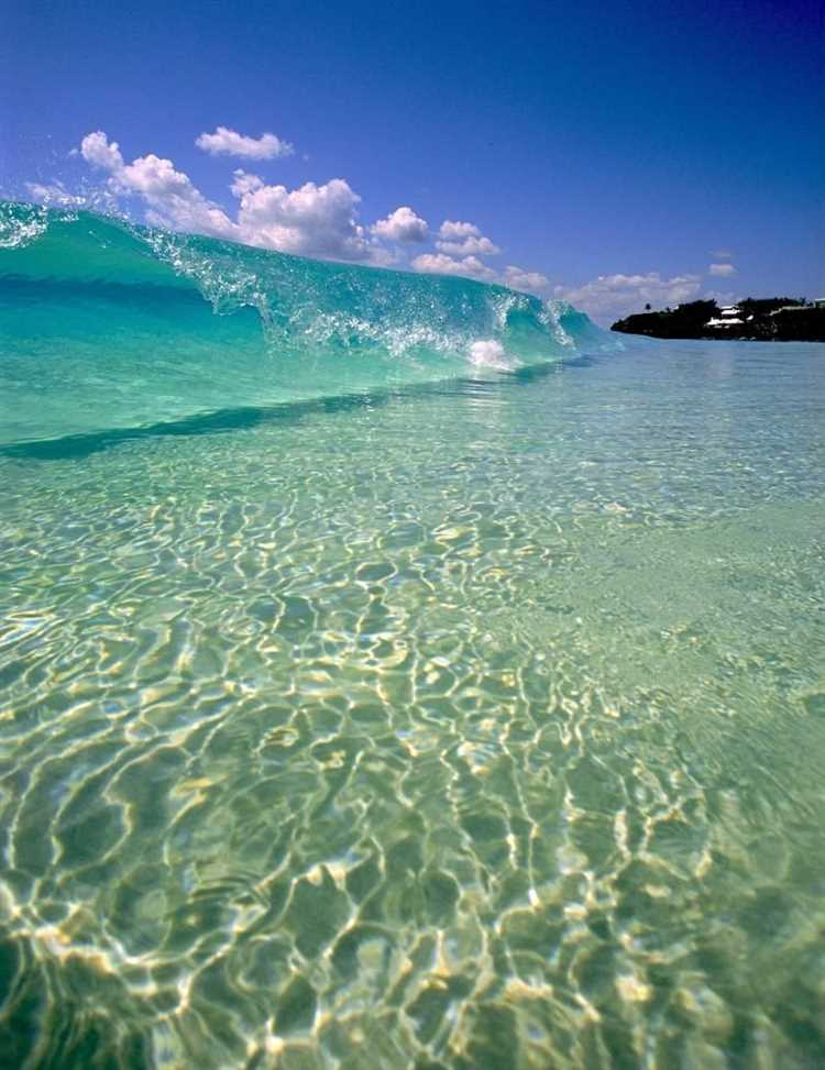 top-10-cleanest-oceans-in-the-world-discover-the-pristine-waters